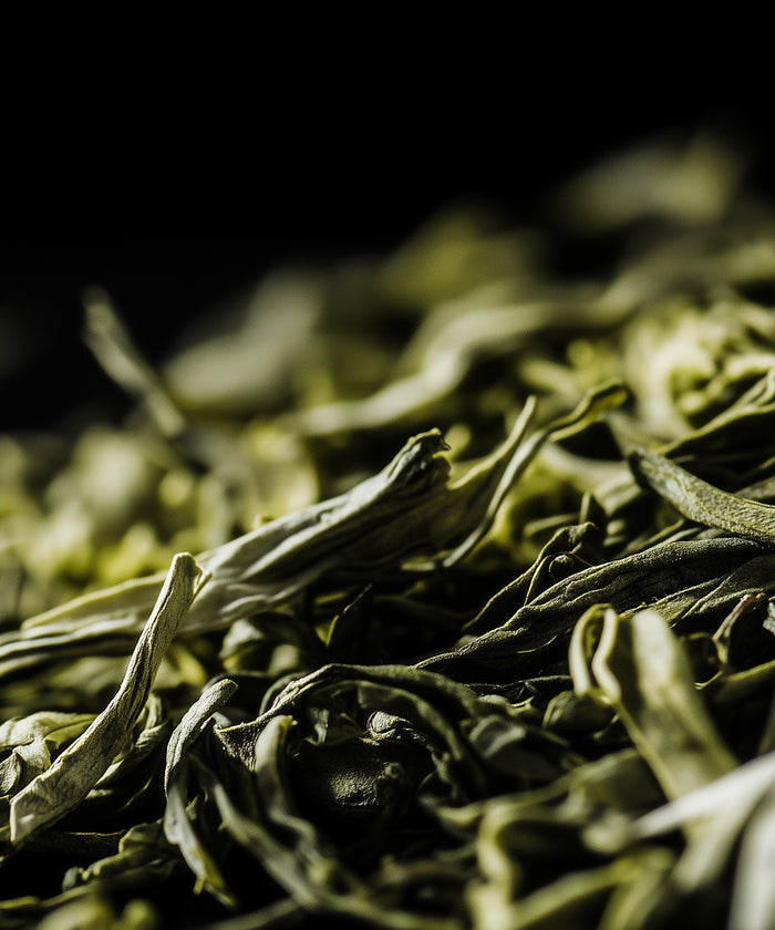 Green Tea