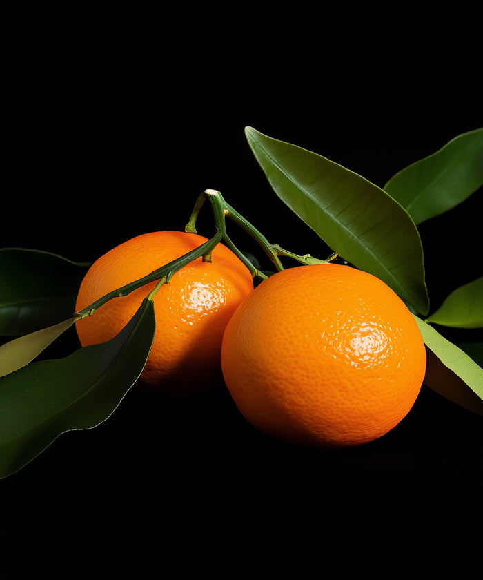 Mandarine
