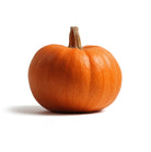 Halloween Geschenk - Atelier Rebul